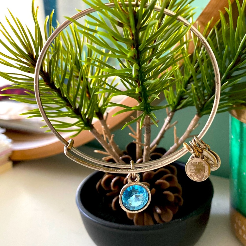 Alex and Ani  birthstone bracelet